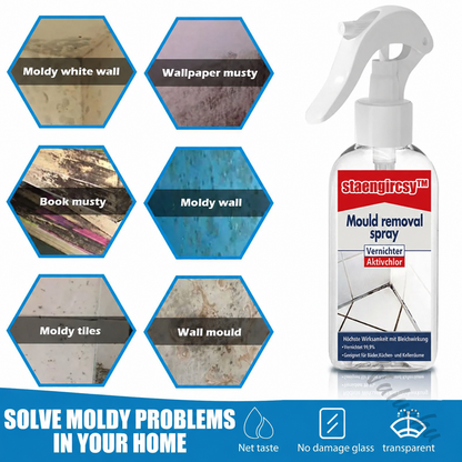 🔥Last Day Promotion 49%OFF🔥All-purpose Mildew Removal clean Spray