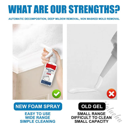 🔥Last Day Promotion 49%OFF🔥All-purpose Mildew Removal clean Spray
